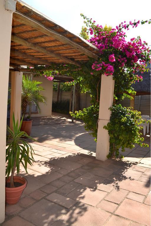 Dove'S Nest Guest House Kempton Park Esterno foto